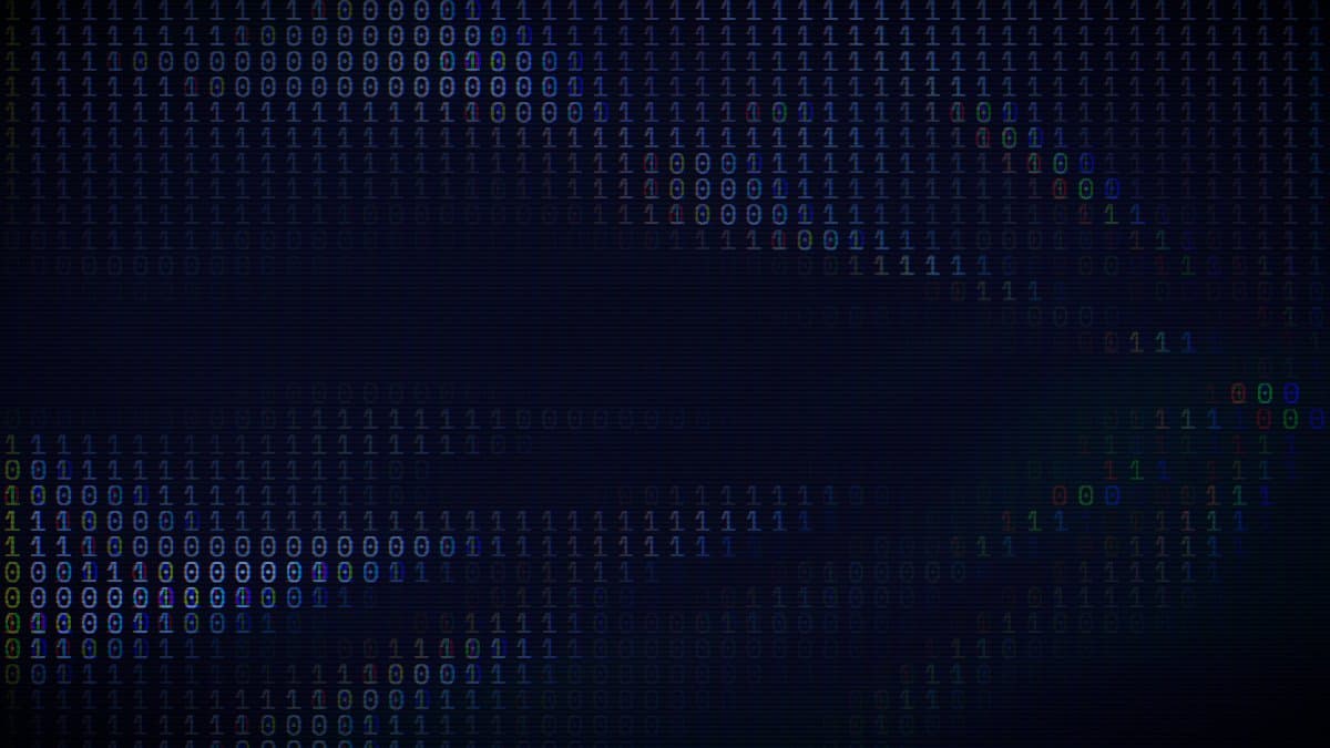 Binary Rays